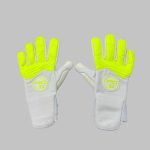 prosport.md 1 2025 10 20 10 28 53 734410 manusi de portar pro10 elite (gk2025-80)